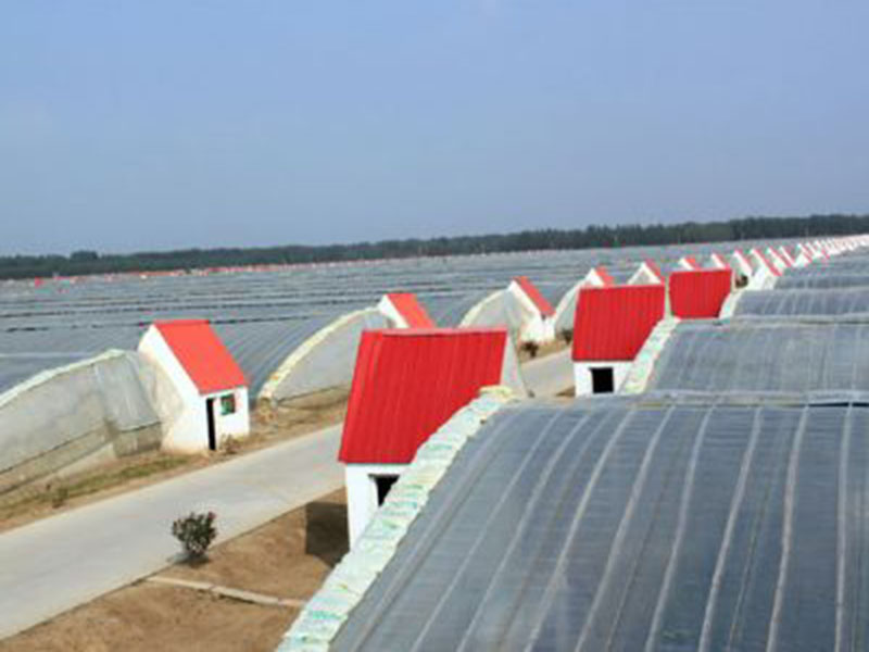 溫室工程建設(shè)前，你必須了解這幾件事！