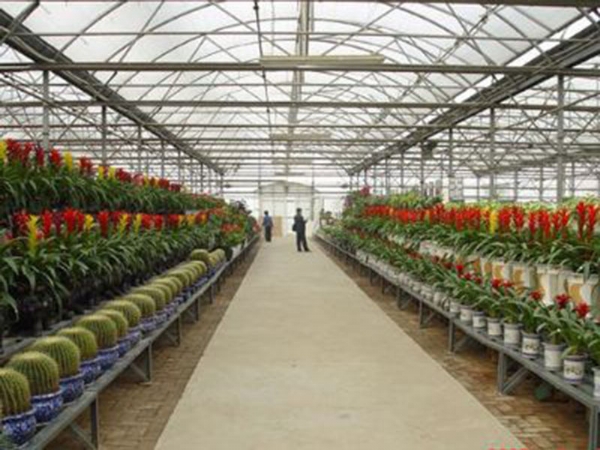 花卉溫室