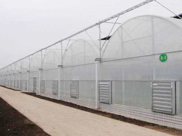 薄膜拱形連棟溫室